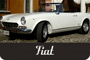 immagine categoria macchina fiat